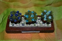 /album/minipeanas1/peanascuadros-002-jpg2/